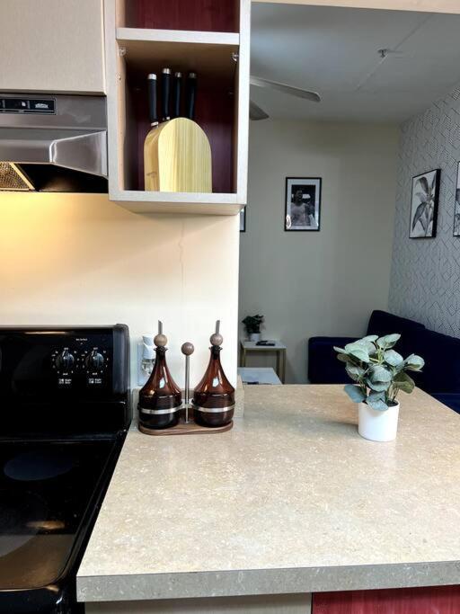 Midtown Flat Near Overton Park & Downtown Memphis Esterno foto